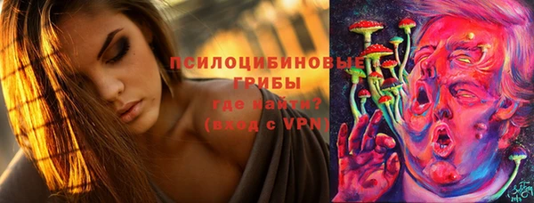 PSILOCYBIN Алексеевка