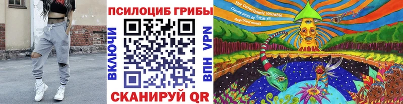 блэк спрут зеркало  Кемь  Галлюциногенные грибы Psilocybe 